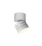 Ansell Downlight LED Reef Matt Bianca 5W 486lm 90D - 830-840-860 CCT | 85mm - IP65 - Inclinabile - Esterni